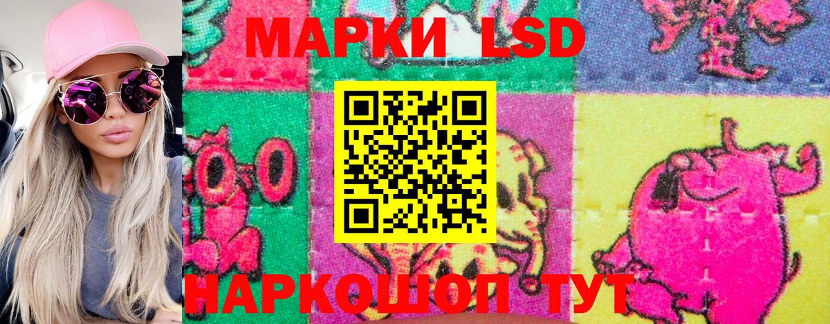 купить наркотики сайты  Марки N-bome 1,5мг  Вход с VPN  Сегежа 