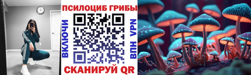 цены   Сегежа  Галлюциногенные грибы мицелий 