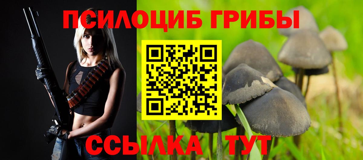 что такое наркотик  Галлюциногенные грибы Psilocybine cubensis  Галлюциногенные грибы Psilocybe  Вход с VPN  Сегежа 