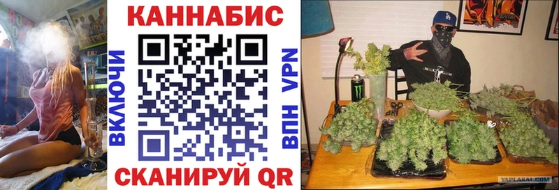 Бошки Шишки тримм  Сегежа 